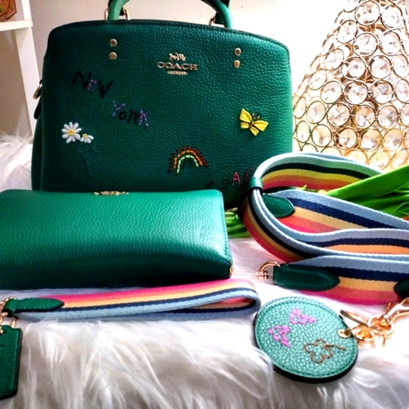 Coach mini Lillie carryall with Diary Embroidery Bag - Picture 11 of 14